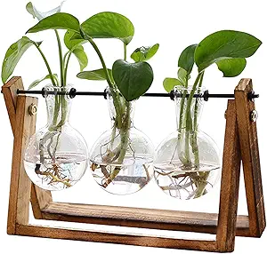 FLOWER Plant Terrarium with Wooden Stand